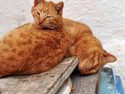 Πάτρα - Σοκαριστική καταγγελία από τον Α...