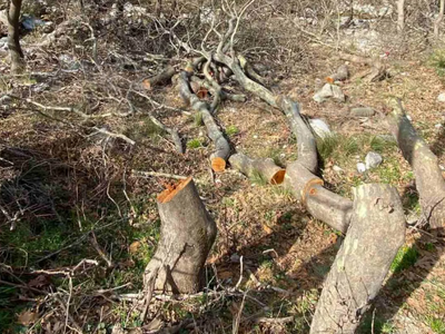 Νέα αναστάτωση στην Αργυρά- Τα συνεργεία...