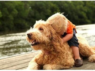 Και οι σκύλοι ζηλεύουν