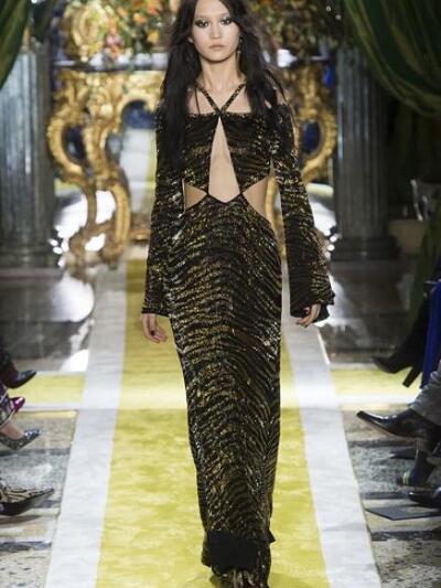 ROBERTO CAVALLI