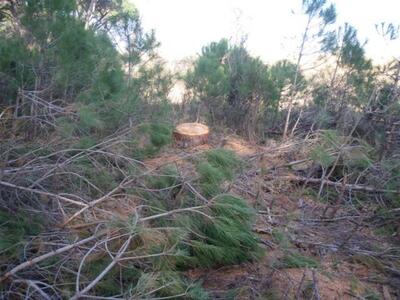 Οι ανοιχτές πληγές που θέτουν σε κίνδυνο...