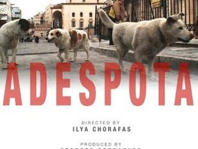 Αίγιο: Η ΔΗΚΕΠΑ προβάλει "τα αδέσπο...