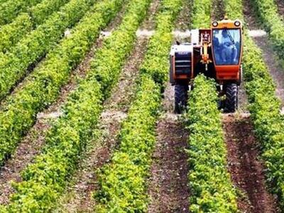 ΥΠΑΑΤ: Πριμ 240 εκατ. ευρώ για 16.000 νέ...