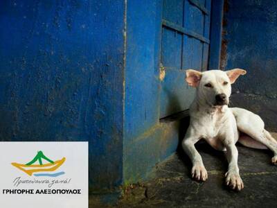 Γρ. Αλεξόπουλος: Ίδρυση δημοτικού ιατρεί...