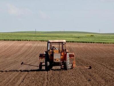 Δωρεάν διανομή ροδάκινων, στο Δήμο Μινώα Πεδιάδας 