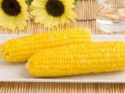 Αιτήσεις για άδειες πώλησης εποχιακών πρ...