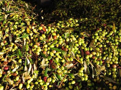 Μεσολόγγι: Διαμαρτυρία του Δημάρχου για ...