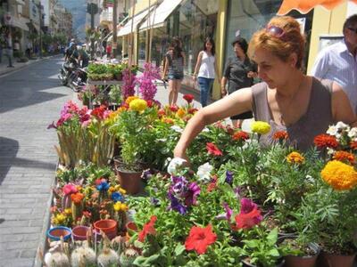 Ένας απέραντος κήπος το κέντρο του Αιγίου!