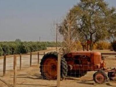 Πρέβεζα: Αλλοδαποί μετέτρεψαν θερμοκήπιο...