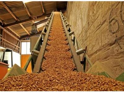 Πάτρα: Ξενάγηση της Κοινο_Τοπίας στο Ενε...