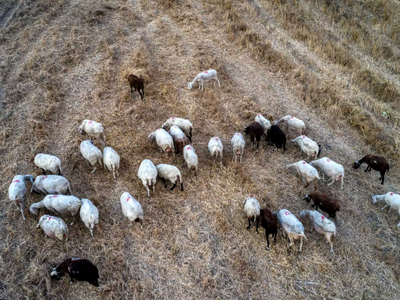 Περιφέρεια: Πρόσθετα μέτρα προφύλαξης γι...