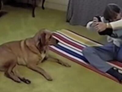 ΔΕΙΤΕ τον απίθανο σκύλο που κάνει γιόγκα! ΒΙΝΤΕΟ 