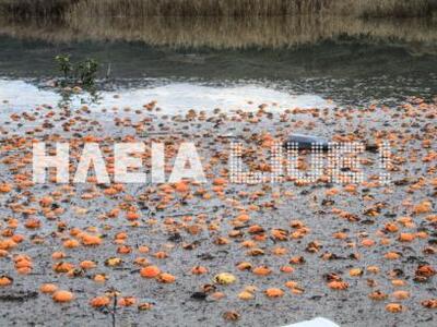 Πύργος: Φαινόμενα κατολισθήσεων σε τρεις...