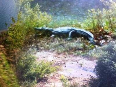 Σύσκεψη στο Ηράκλειο για τον τον Σήφη το...