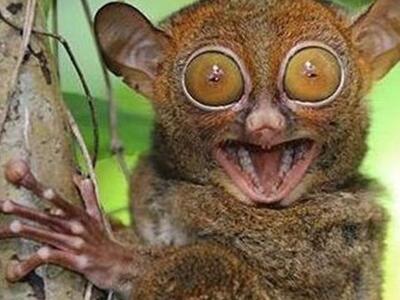 Διαγωνισμός επιστημόνων στο Twitter για ...