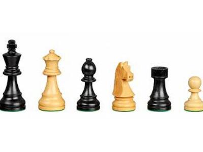 Aνοίγει η αυλαία για τον Σκακιστικό Όμιλο Πατρών 