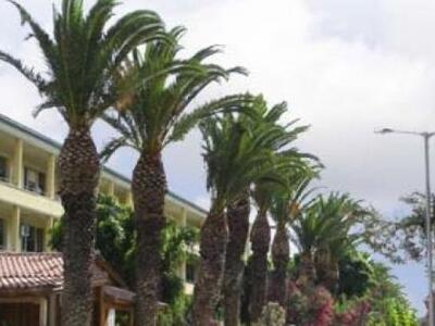 Χάρισαν...76 ακίνητα- «φιλέτα» και τώρα ...