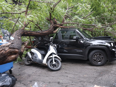 Έπεσε δέντρο στο κέντρο της Αθήνας - Ένα...