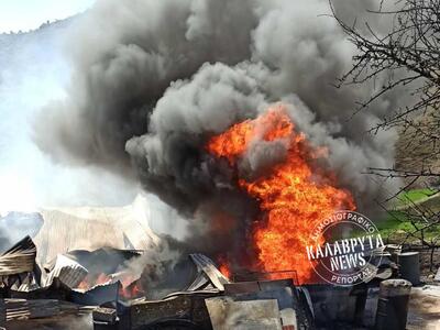 Καλάβρυτα: Πυρκαγιά κατέστρεψε ποιμνιοστ...