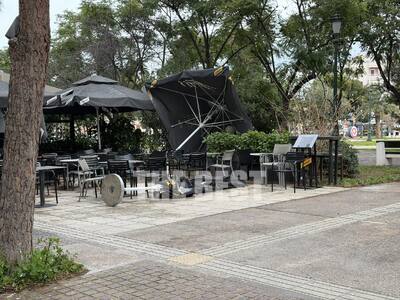 Πάτρα: Πτώσεις δέντρων και αιωρούμενα αν...