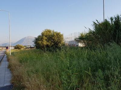 Τα χόρτα έχουν περικυκλώσει και το πάρκο...