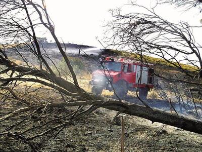 Αχαΐα: Δεν καήκαμε πολύ φέτος...Πού οφεί...