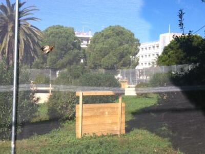 Αγρίνιο: Διχάζει το paintball που οργάνω...