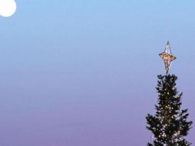 Η... σπανιότητα των φετινών Χριστουγέννω...