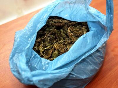 Ηλεία: Συνελήφθη ακόμη ένας καλλιεργητής...