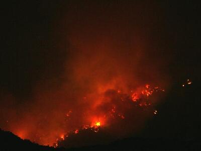 Ναυπακτία: Φωτιά ξέσπασε στο Τρίκορφο - ΒΙΝΤΕΟ