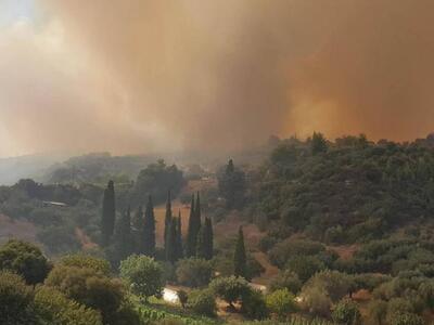 Περιστερι Ηλείας