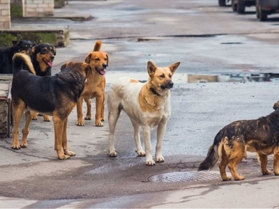 Πάτρα: Στο εδώλιο σήμερα αντιδήμαρχος γι...