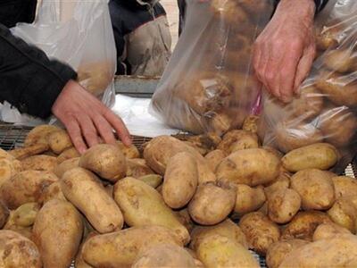 Aιγυπτιακές πατάτες πωλούνταν ως γαλλικέ...