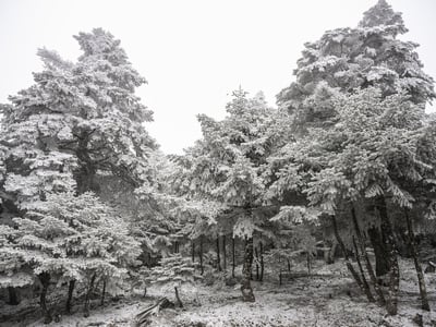 φωτο αρχείου eurokinissi