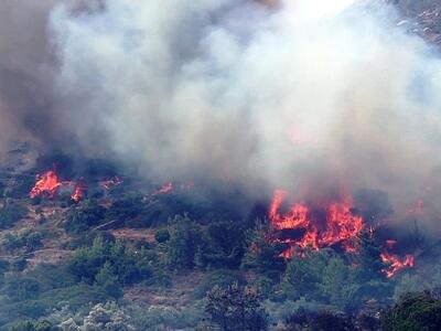 Μεγάλη φωτιά στη Ζάκυνθο – Στο πόδι οι κ...