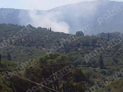 Ηλεία: Σωτήρια επέμβαση της Πυροσβεστική...