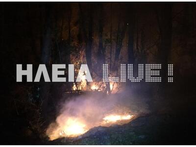 Hλεία:Μεγάλη φωτιά σε πευκοδάσος στην Αλφειούσα
