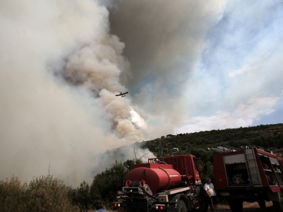 Υπό έλεγχο  η πυρκαγιά στη Σιθωνία Χαλκιδικής