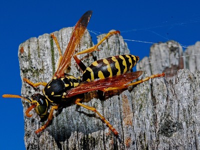 Πάτρα: Γυναίκα στο νοσοκομείο μετά από τ...
