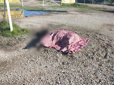 Αγρίνιο: Χτυπημένο άλογο από τροχαίο παρ...