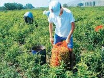 Παρατείνεται η προθεσμία υποβολής αιτήσε...