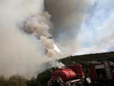 Φωτιά στην περιοχή Ροδινών - Κοστομέρας ...