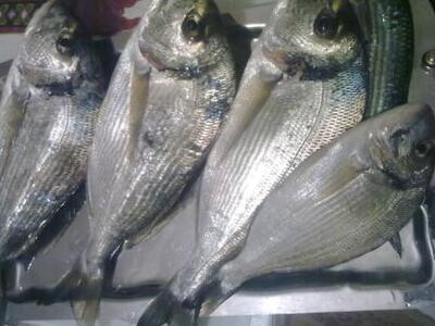 Κατασχέθηκαν τσιπούρες προερχόμενες από ...