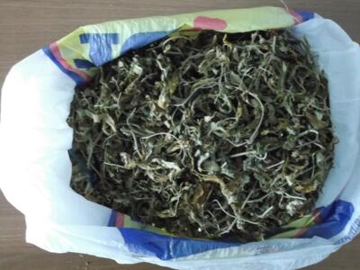 Αίγιο: Συνελήφθη 35χρονος για ναρκωτικά 