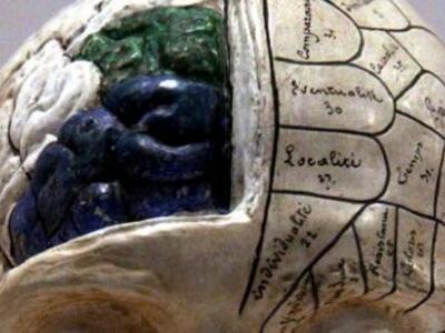 Εντοπίστηκε γονίδιο που συνδέει την «γκρ...