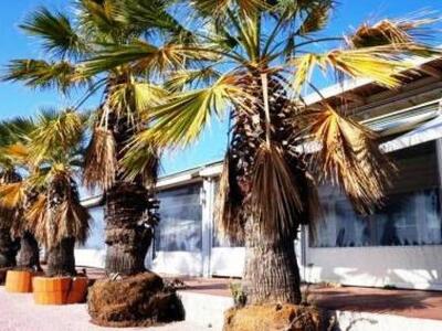 Αναβάλλεται για δεύτερη φορά η δημοπρασί...