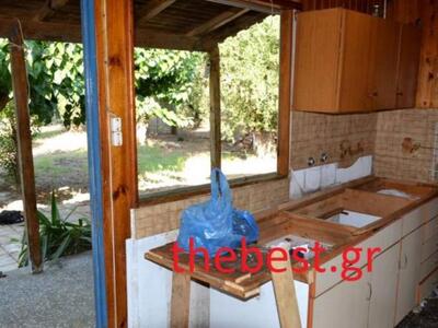 Δεν αφήνουν τίποτα στη Δυτική Αχαΐα - Κλ...