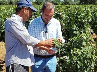 Α. Κατσανιώτης: «Μεγάλες καταστροφές από...