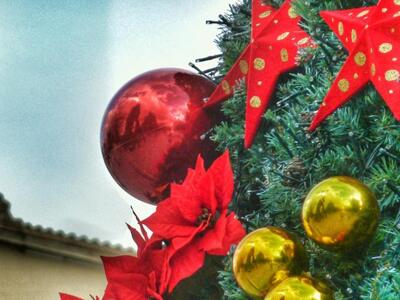 To "Δέντρο των Ευχών" από τους...