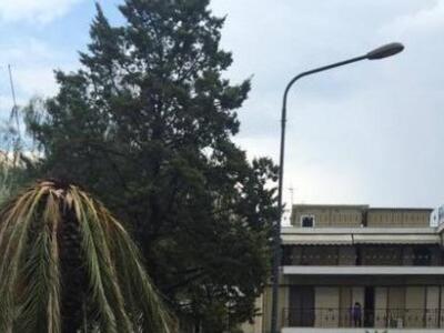 Αγρίνιο: Πτώση δέντρων και πινακίδων από...